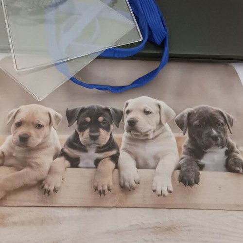 Set of 6 office accessories like new with mouse pad and transparent sleeves