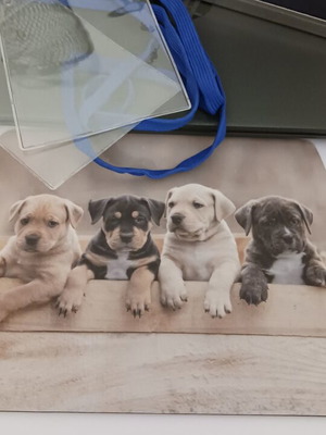 Set of 6 office accessories like new with mouse pad and transparent sleeves