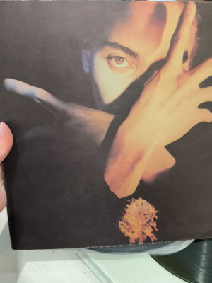 Neither Fish Nor Flesh Terence Trent D'arby used