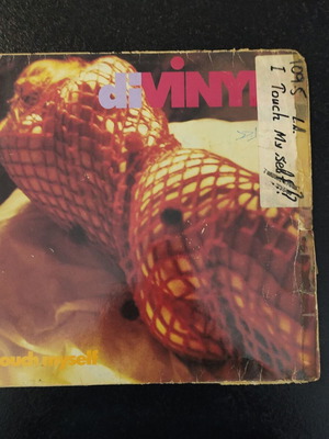 Divinyls I Touch Myself 12'' Maxi Vinyl Single used, rock