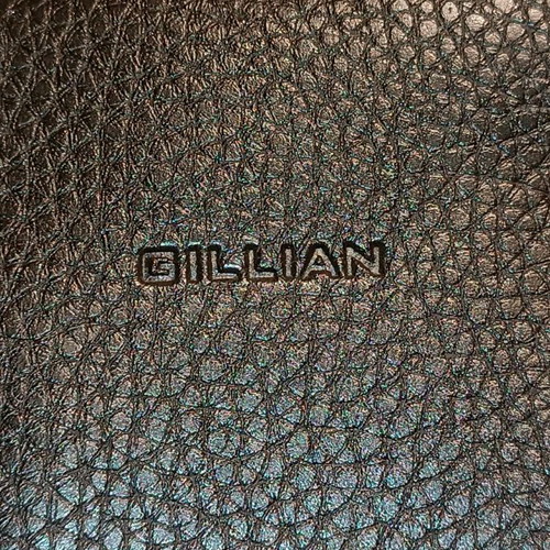 GILLIAN women's shoulder bag used with internal wear