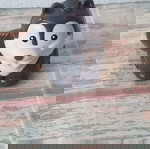  Φιγουρα λυκακι VTech Go! Go! Smart Wolf