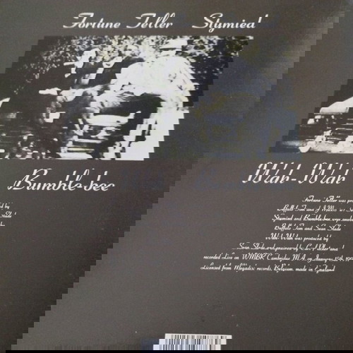 Buffalo Tom - Fortune Teller 12' single