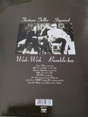 Buffalo Tom - Fortune Teller 12' single