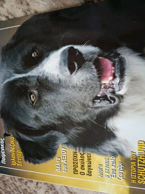 Vlemma Magazine like new