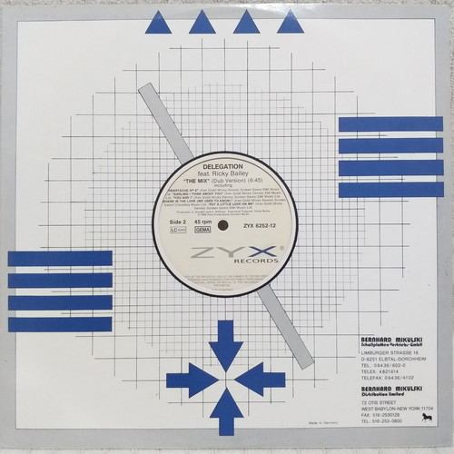 Delegation Feat. Ricky Bailey The Mix vinyl single used, 1989, Germany