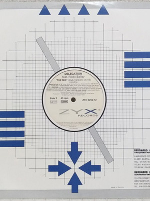Delegation Feat. Ricky Bailey The Mix vinyl single used, 1989, Germany