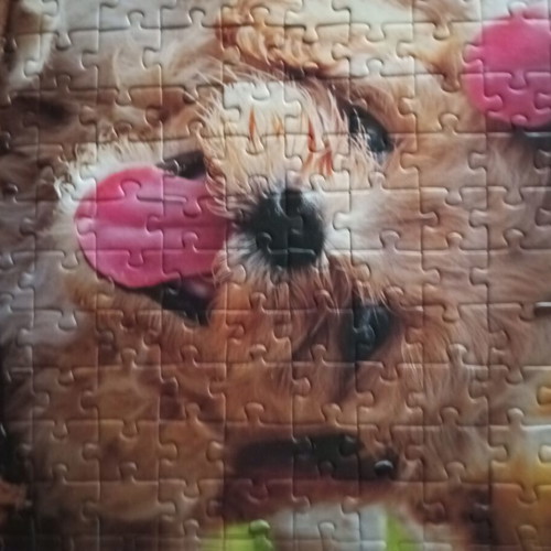 Puzzle 500 pieces used without box
