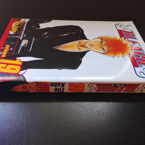 Bleach Volume 19 used, English