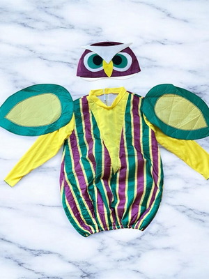 Angry Birds boys costume like new, age 10