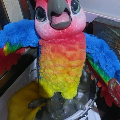 Fur Real Friends Parrot in good condition