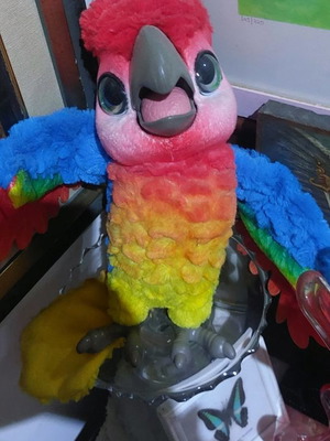 Fur Real Friends Parrot in good condition
