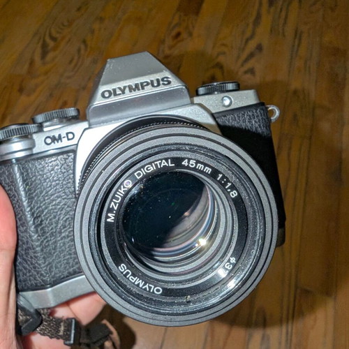 Olympus OM-D E-M10 camera with 2 prime lenses and accessories