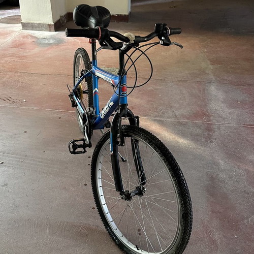 Orient Comfort city bike with anatomical saddle, blue, 26 inch
