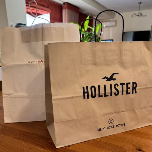 Hollister and Brandy Melville paper bags like new, set of 2