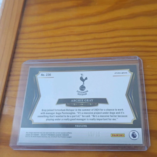 Archie Gray rc Tesselation 15/15 Select EPL card new