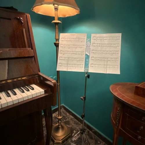 Folding metal music stand like new with carrying case