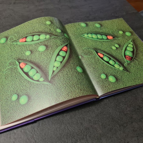Album The Treasures of the Garden Anne Geddes used book
