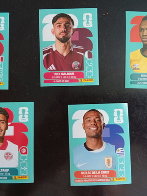 Panini World Cup Stickers set of 5 like new