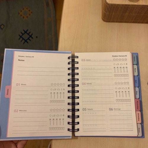 Tiger Agenda Planner like new missing some months and stickers