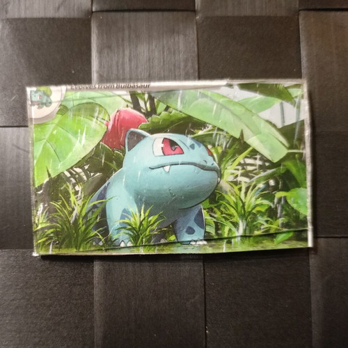 Pokemon magnet, handmade