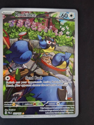 Κάρτα Pokemon Rookidee καινούργια, Paldea evolved
