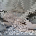  Μπαλαρίνες Zara 39