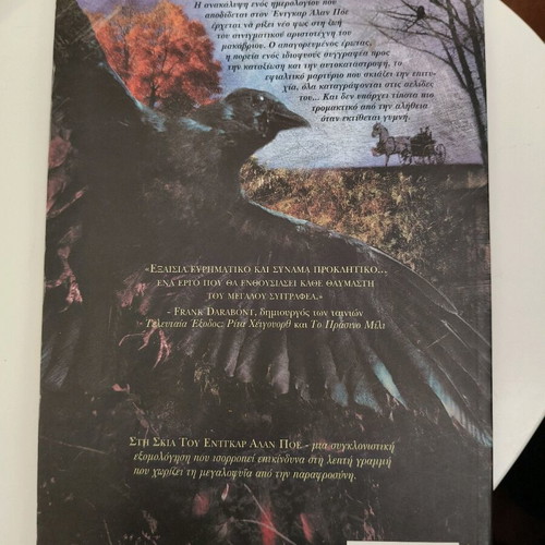 In the Shadow of Edgar Allan Poe like new macabre illustrated novel