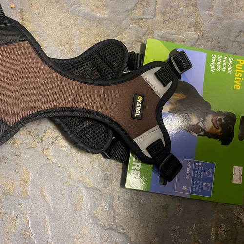 Dog chest collar with reflection, harness new