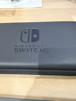 Switch Lite Official Case new