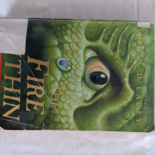 The Fire Within children's fantasy novel used