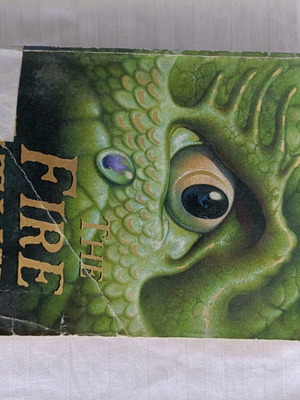 The Fire Within children's fantasy novel used