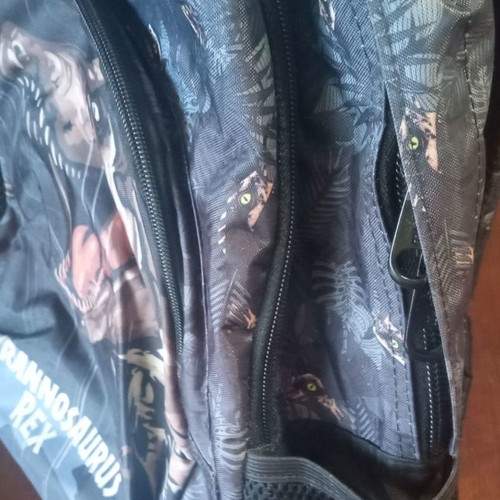 School bag used with Tyrannosaurus Rex dinosaur design