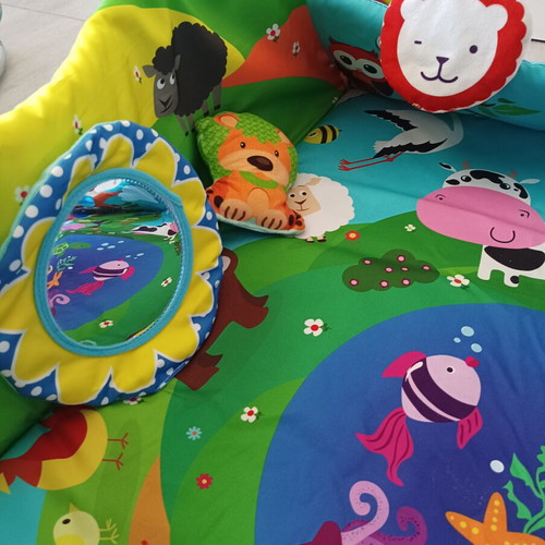 Lionelo Anika Baby Gym and Activity Mat like new with Accessories