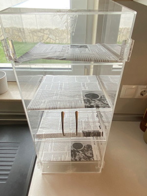 Neutral Display Case like new, acrylic, 4 shelves