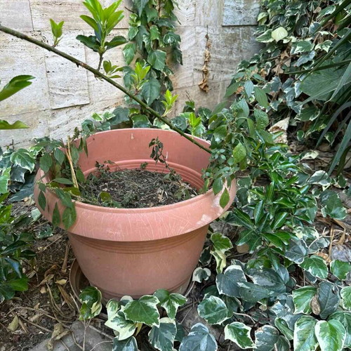 Flower pots used, pack of 2 green and 2 brown
