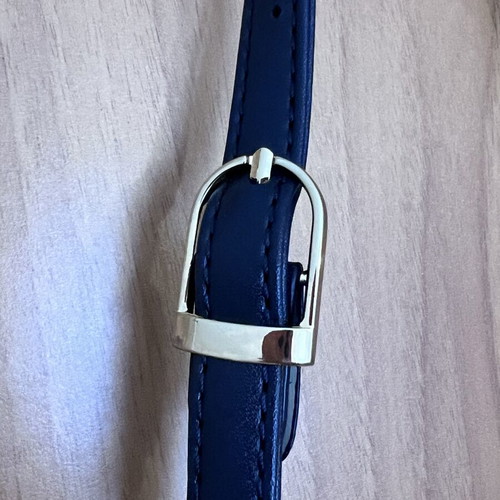 Elizabeth George Metallic Blue Shoulder Bag 2 in 1 new