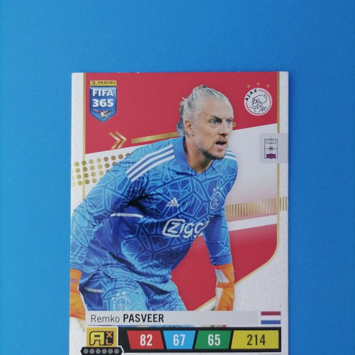Pasveer FIFA 2023 card like new