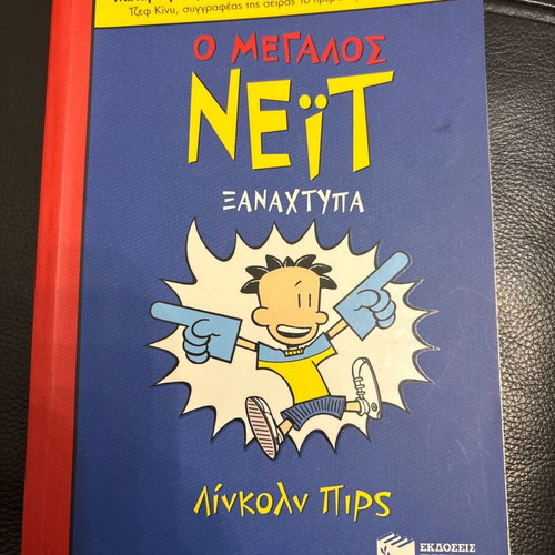 Big Nate Book like new