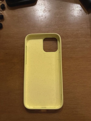 iPhone 13 Pro Max case in excellent condition