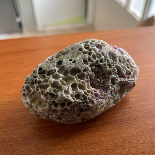 Fossilized coral in limestone new, natural stone