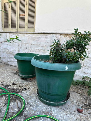 Flower pots used, pack of 2 green and 2 brown