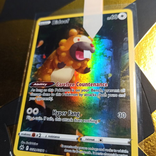 Bidoof Crown Zenith 2023 Pokemon card
