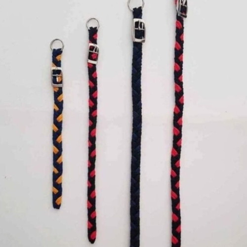 Pet collars new