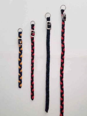Pet collars new