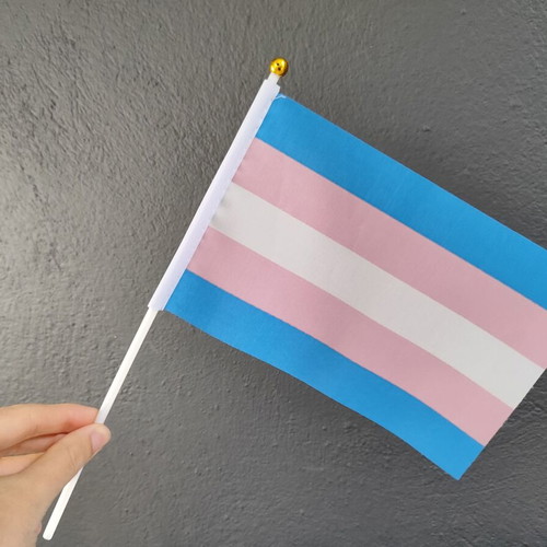 Trans Pride small flags pack of 60, like new