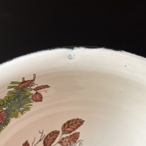 Vintage enamel bowl USSR with bullfinch design, 18cm, like new