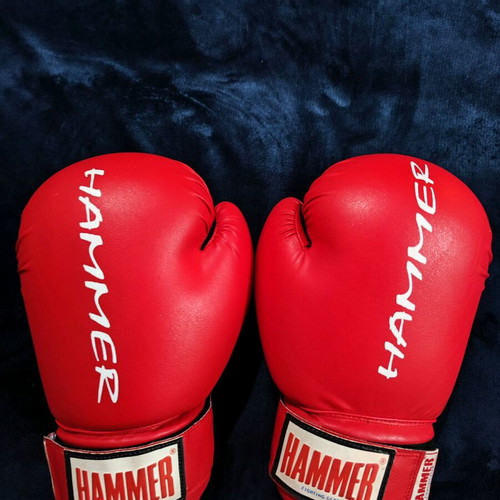 Boxing gloves like new