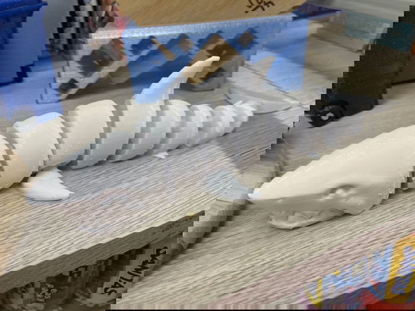 Πρωτοτυπο Διακοσμητικο Καρχαριας 3D Εκτυπωση