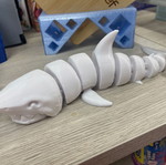 Shark decorative 3D print new, articulated design
